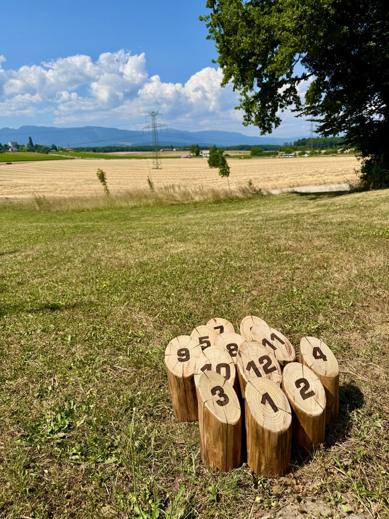 Jeu de quilles finlandaises au bord des champs